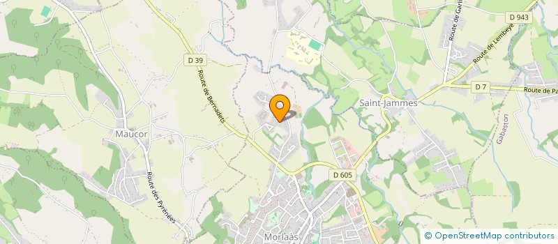 localisation de l'entreprise MADAME EMILIE PALENGAT  MORLAAS