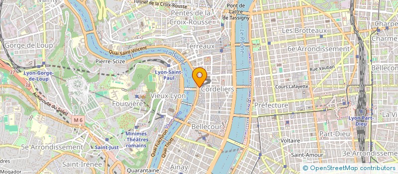 localisation de l'entreprise MADAME EMILIE PELISSIER  LYON