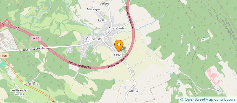 localisation de l'entreprise MADAME EMILIE RIBES  ANNEMASSE