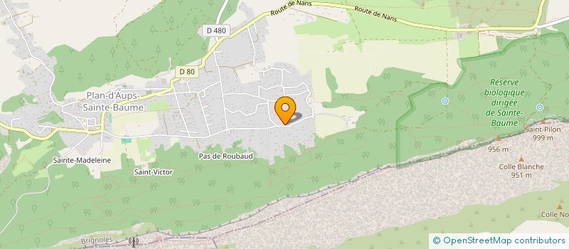 localisation de l'entreprise MADAME EMILIE STANGANELLI  PLAN-D'AUPS-SAINTE-BAUME
