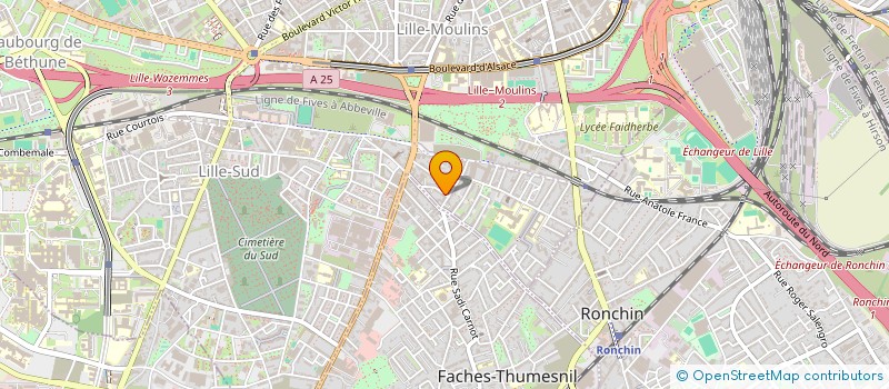 localisation de l'entreprise MADAME EMILIE TOURAL à LILLE