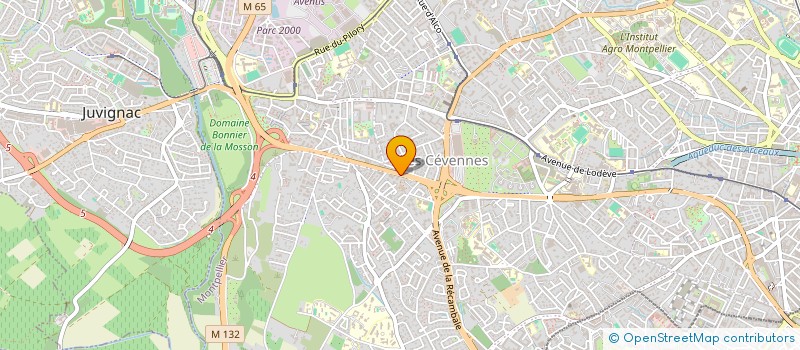 localisation de l'entreprise MADAME EMILIE VANDEVELDE à MONTPELLIER