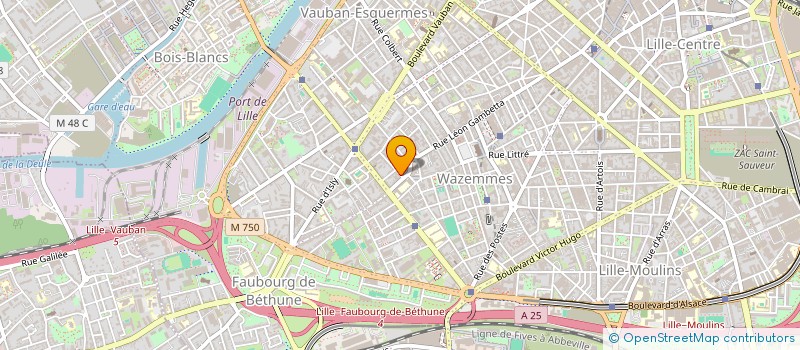localisation de l'entreprise MADAME EMILIE VANSUYPEENE à LILLE