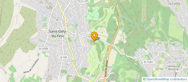 localisation de l'entreprise MADAME EMILIE VEYRET  SETE