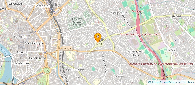 localisation de l'entreprise MADAME EMILIE VIALLON  TOULOUSE