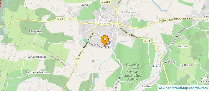 localisation de l'entreprise MADAME EMILIE VILLEGAS  SAINT-SAVIN