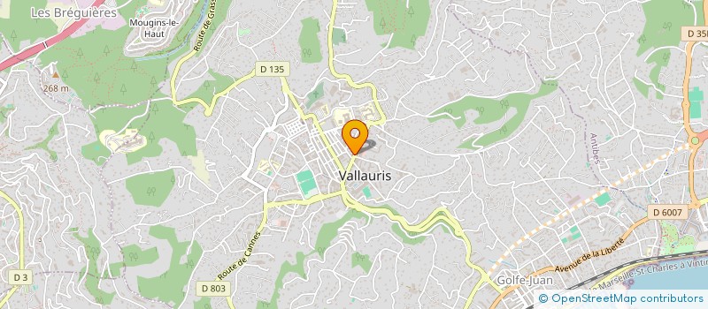 localisation de l'entreprise MADAME EMILIE VOICEL  VALLAURIS