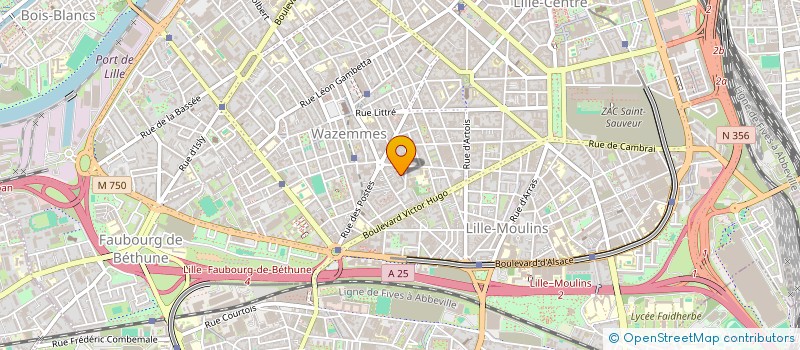 localisation de l'entreprise MADAME EMILIE WAWRZICZNY  LILLE