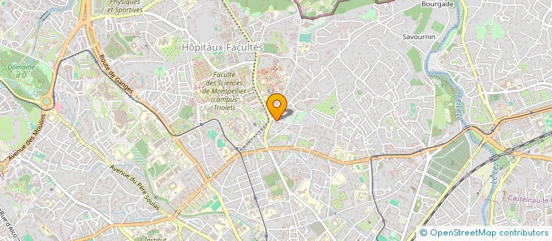 localisation de l'entreprise MADAME EMILY SPURGEON à MONTPELLIER