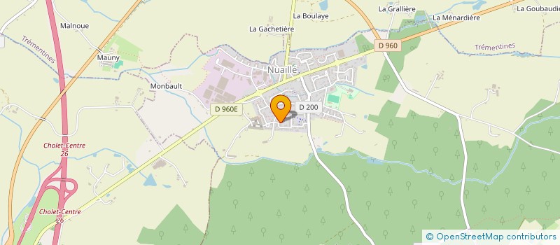 localisation de l'entreprise MADAME EMINE PALA  NUAILLE