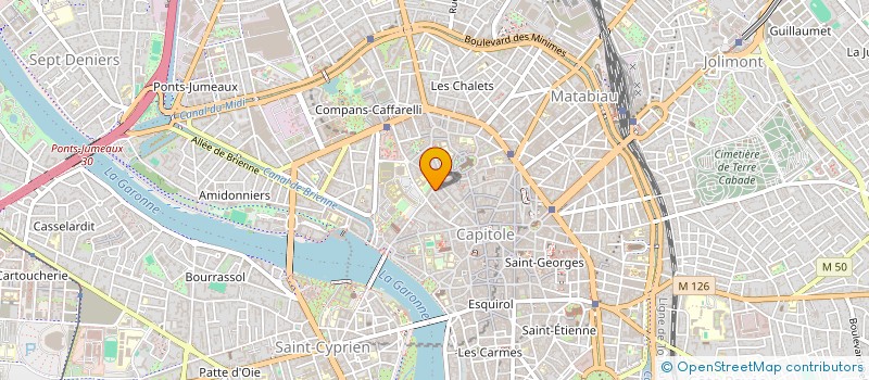 localisation de l'entreprise MADAME EMMA BRAITHWAITE à TOULOUSE