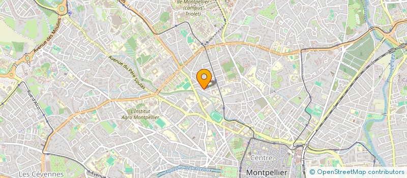 localisation de l'entreprise MADAME EMMA CHELVI SENDIN à MONTPELLIER
