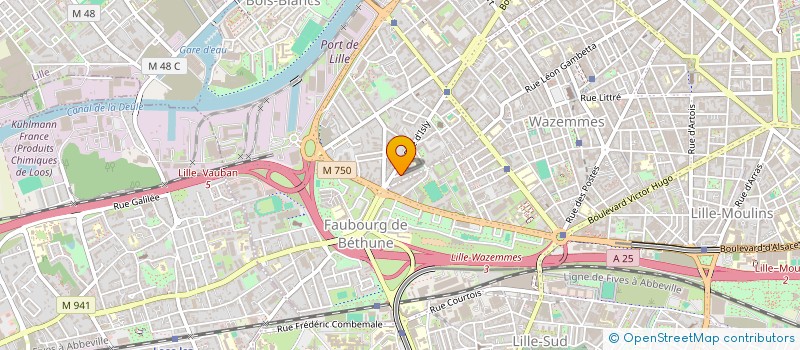 localisation de l'entreprise MADAME EMMA COTREZ à LILLE