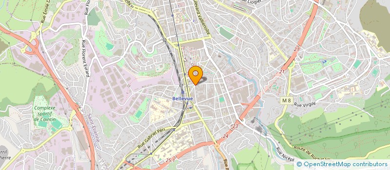 localisation de l'entreprise MADAME EMMA DUILLON  SAINT-ETIENNE