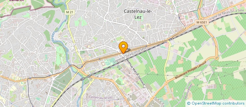 localisation de l'entreprise MADAME EMMA HADJADJ à CASTELNAU-LE-LEZ