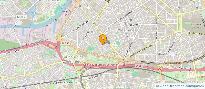 localisation de l'entreprise MADAME EMMA HERCHE  LILLE