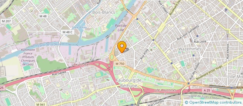 localisation de l'entreprise MADAME EMMA OLIVEIRA DAS NEVES à LILLE