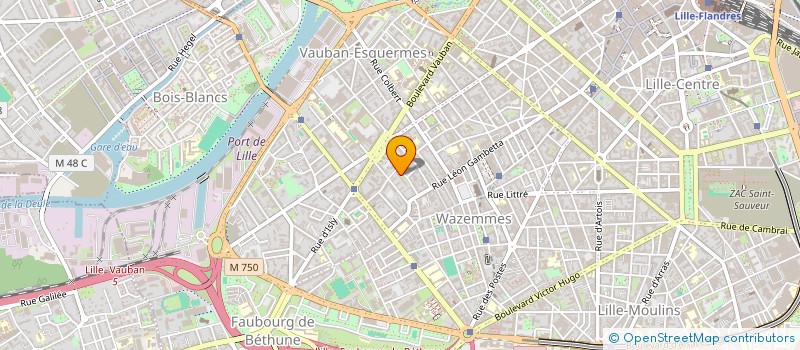 localisation de l'entreprise MADAME EMMA RUFF à LILLE
