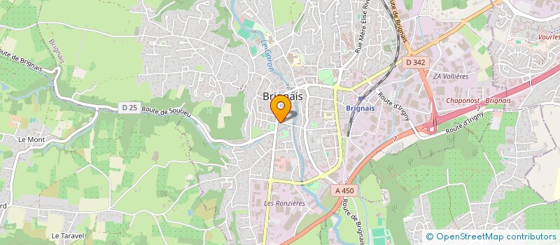 localisation de l'entreprise MADAME EMMA STOJILJKOVIC-GRAIN  BRIGNAIS