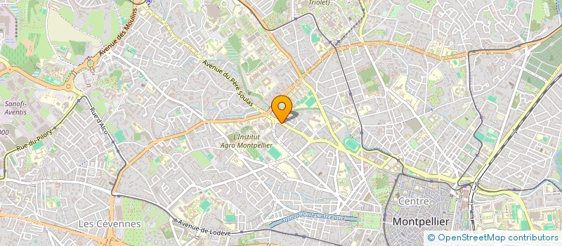 localisation de l'entreprise MADAME EMMA VIDAL  MONTPELLIER