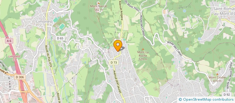 localisation de l'entreprise MADAME EMMA VITTOZ  SAINT-DIDIER-AU-MONT-D'OR