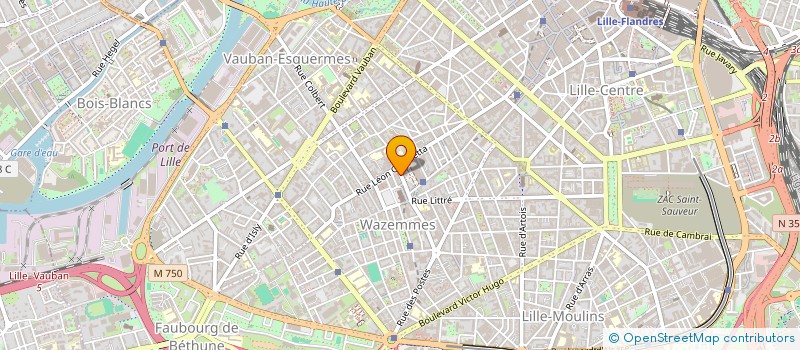 localisation de l'entreprise MADAME EMMANUELLE BRIOTTET à LILLE
