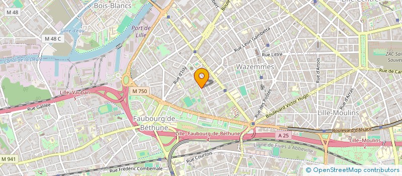 localisation de l'entreprise MADAME EMMANUELLE DEREUX à LILLE