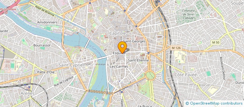 localisation de l'entreprise MADAME EMMANUELLE DIDIER BALESTIER  TOULOUSE