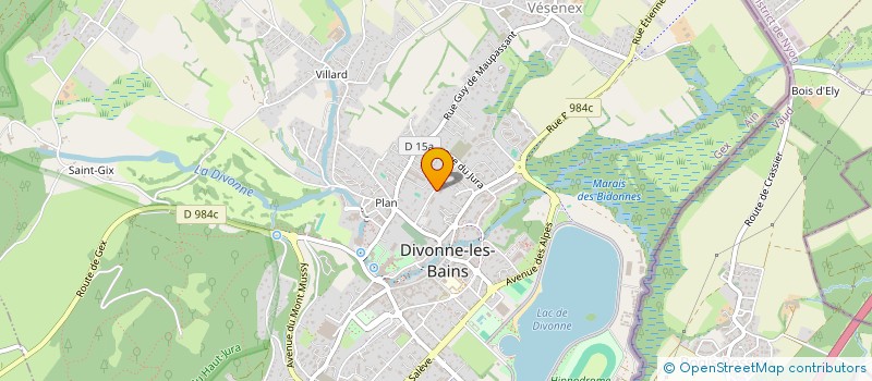 localisation de l'entreprise MADAME EMMANUELLE DIETSCH à DIVONNE-LES-BAINS