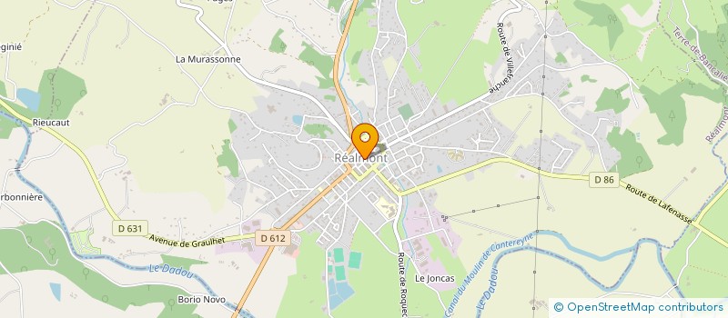 localisation de l'entreprise MADAME EMMANUELLE DOMERGUE  REALMONT