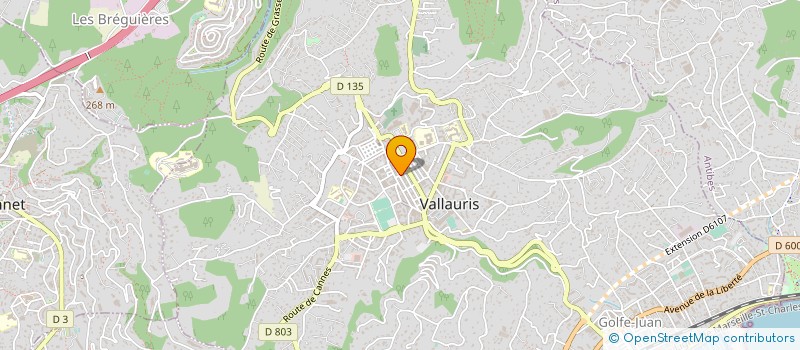 localisation de l'entreprise MADAME EMMANUELLE ESMIOL à VALLAURIS