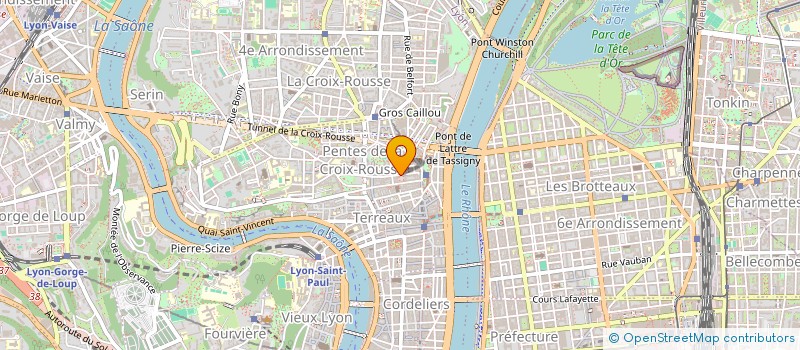 localisation de l'entreprise MADAME EMMANUELLE FERDYAN à LYON