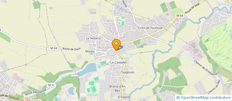 localisation de l'entreprise MADAME EMMANUELLE GOUBLE à AUSSONNE