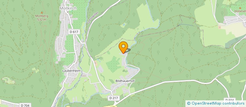 localisation de l'entreprise MADAME EMMANUELLE HAMM  ROSHEIM