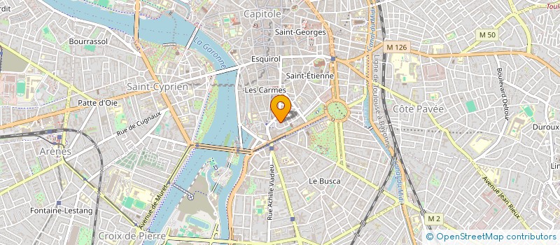 localisation de l'entreprise MADAME EMMANUELLE LION  TOULOUSE