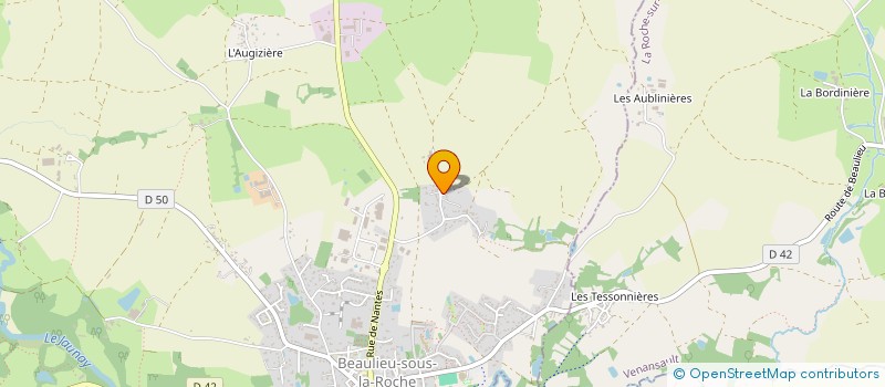 localisation de l'entreprise MADAME EMMANUELLE MANDIN  BEAULIEU-SOUS-LA-ROCHE