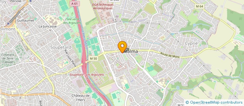 localisation de l'entreprise MADAME EMMANUELLE MISIOLEK  BALMA