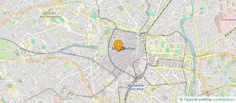 localisation de l'entreprise MADAME EMMANUELLE SCHMIT à MONTPELLIER