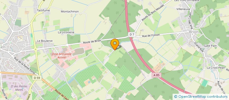 localisation de l'entreprise MADAME EMMANUELLE TENAILLEAU à LOIRE-AUTHION