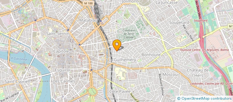 localisation de l'entreprise MADAME EMMANUELLE VIGUIE à TOULOUSE