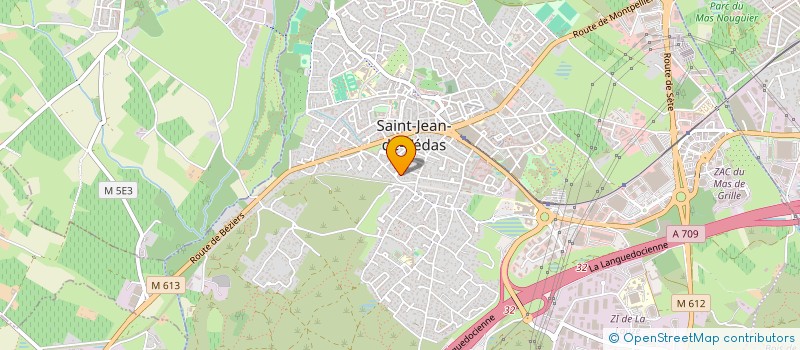 localisation de l'entreprise MADAME EMMANUELLE WACONGNE  SAINT-JEAN-DE-VEDAS