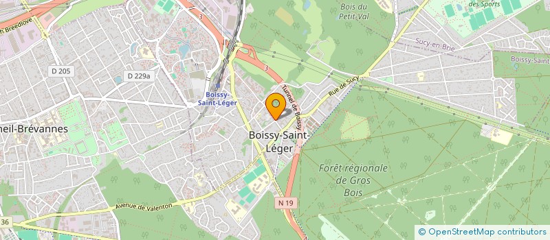 localisation de l'entreprise MADAME EMZILA HODZIC à BOISSY-SAINT-LEGER