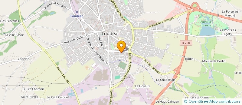 localisation de l'entreprise MADAME ENORA BOURDET à LOUDEAC