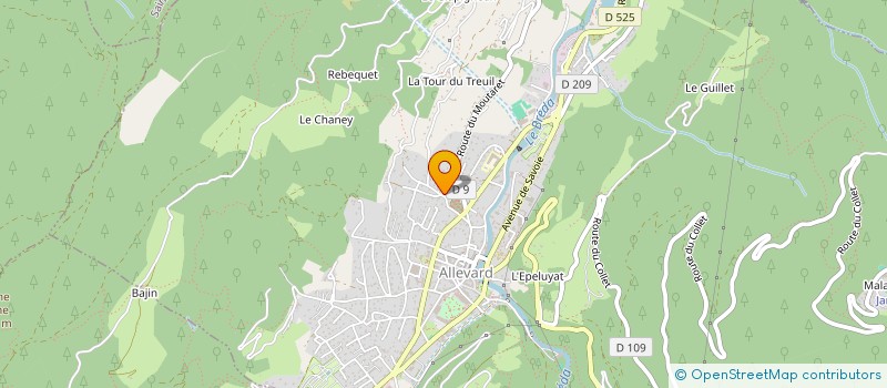 localisation de l'entreprise MADAME ERBOUL BERT  ALLEVARD