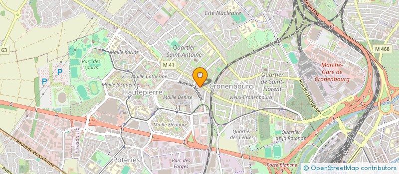 localisation de l'entreprise MADAME ERENAY KOSANAK  STRASBOURG