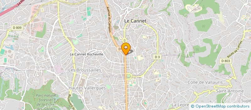 localisation de l'entreprise MADAME ERICA SOARES DE SOUZA à LE CANNET