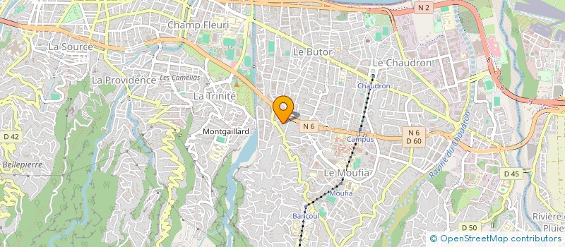 localisation de l'entreprise MADAME ERIKA ANGAMA à SAINT-DENIS