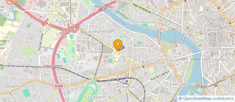 localisation de l'entreprise MADAME ERIKA BALKUNIENE à TOULOUSE