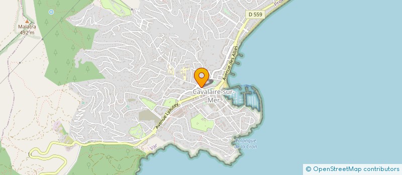 localisation de l'entreprise MADAME ERIKA BICCARI  CAVALAIRE-SUR-MER