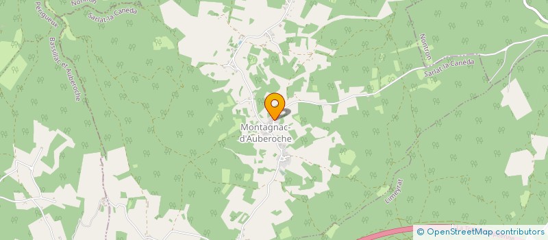 localisation de l'entreprise MADAME ERIKA GRANGER  MONTAGNAC-D'AUBEROCHE